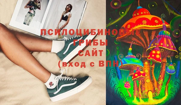 ПСИЛОЦИБИНОВЫЕ ГРИБЫ Армянск