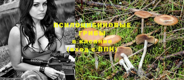 ПСИЛОЦИБИНОВЫЕ ГРИБЫ Армянск
