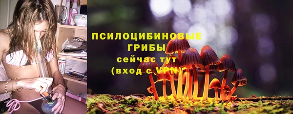 прущие грибы Арсеньев