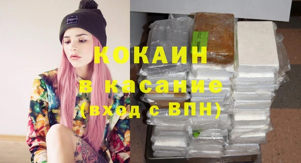 прущие грибы Арсеньев